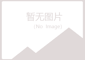 平昌县依珊金融有限公司